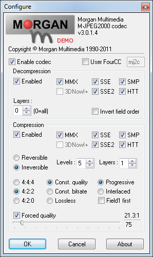 Video For Windows (VfW) Codec